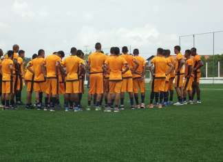 Profissionais do Leão vão realizar jogo treino para entrosar elenco