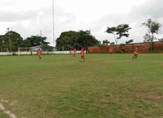 Galo Elétrico prepara estádio e jogadores para o estadual