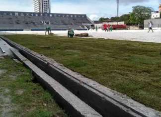 Baenão recebe novo gramado e estádio pode ser ampliado