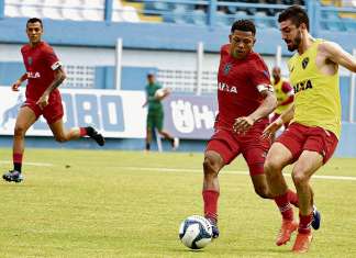 No Papão, não dá tempo de curtir a ressaca