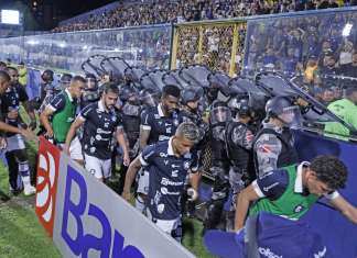 Remo deve liberar outros jogadores, mas Papellin faz alerta