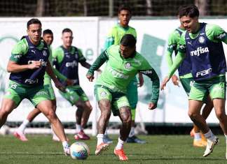 Palmeiras perde jogadores para desafio no Brasileirão
