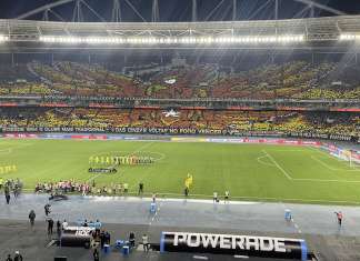 Botafogo é denunciado por cantos racistas na Libertadores