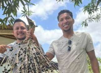 Atacante Rony apanha açaí e descansa com a família no Pará