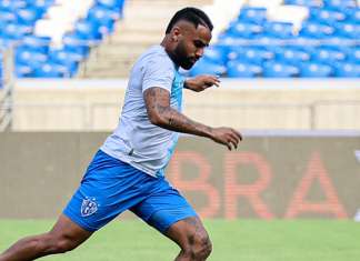 Jogadores admitem desejo de ficar no Paysandu em 2025
