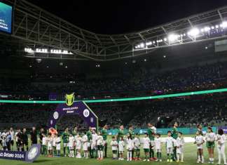 Palmeiras ou Botafogo? Números mostram quem sai vitorioso
