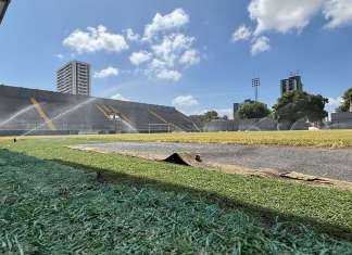Clube do Remo investe na recuperação do gramado do Baenão