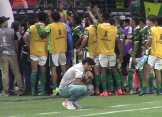 Reforços e pior ano no Palmeiras são combustível para Abel