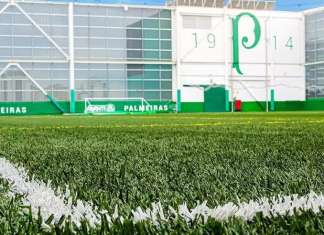 Polícia recupera grama sintética do Palmeiras e prende sete