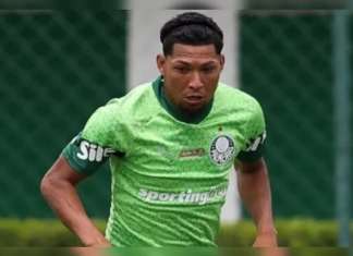 Palmeiras fecha contrato de R$ 8 milhões com novo patrocinador