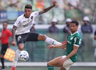 Palmeiras x Botafogo: rivalidade ganha tira-teima no Mundial