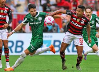 Flamengo x Palmeiras: 5ª final brasileira da Libertadores em 6 anos