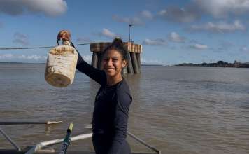 Remo promove ação ambiental em alusão à COP30