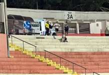Torcedor do Botafogo-SP morre após passar mal nas arquibancadas