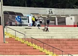 Torcedor do Botafogo-SP morre após passar mal nas arquibancadas