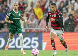 Palmeiras e Flamengo decidem a Taça Libertadores em Lima