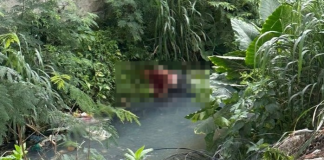 Vídeo: morre torcedor esfaqueado em briga antes de Vasco e Flu