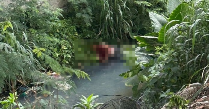 Vídeo: morre torcedor esfaqueado em briga antes de Vasco e Flu