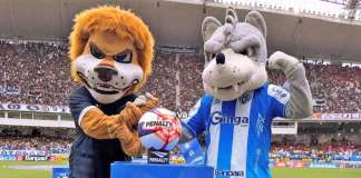 Paysandu e Remo encerram preparação para a final do Parazão