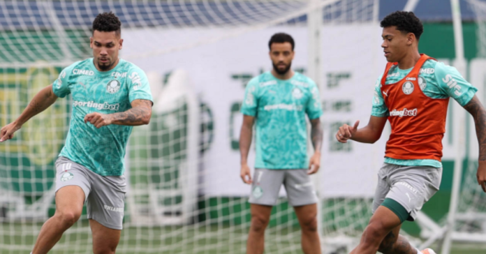 VÍDEO: Leila Pereira divulga bastidores da viagem do Palmeiras a Belém