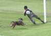 Cadela vira “atacante” e quase marca gol para o Vasco