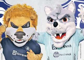 Remo leva vantagem sobre o Paysandu em ranking de beleza dos escudos