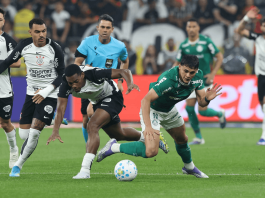 Brasileirão: chances de Palmeiras campeão aumentam e de Flamengo diminuem